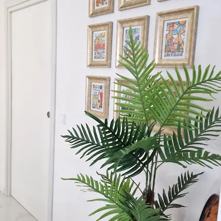 “el Majo” Benidorm! * Benidorm